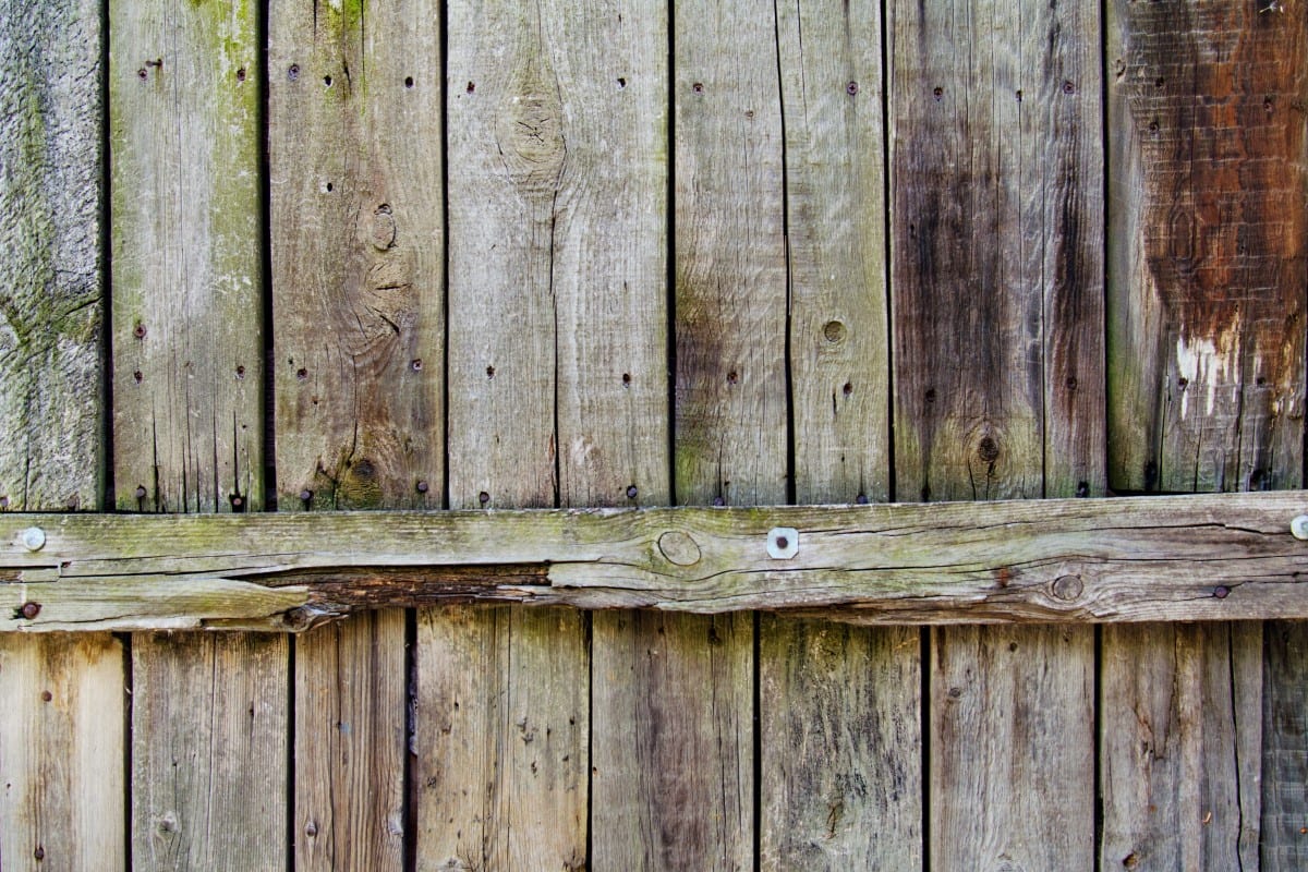 Fence Rotting